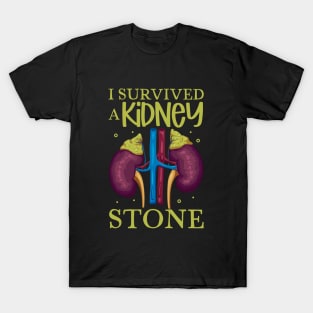 I have survived a kidney stone T-Shirt